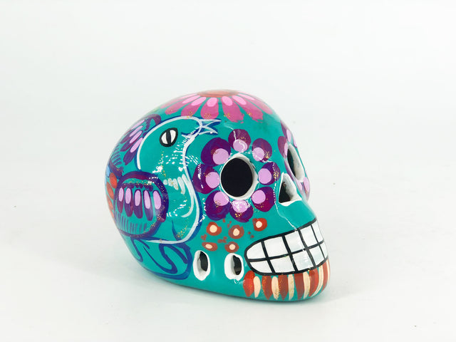Bonita Skull