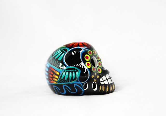 Bonita Skull