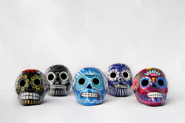 Bonita Skull