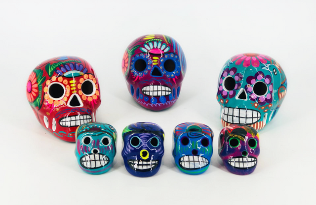 Bonita Skull