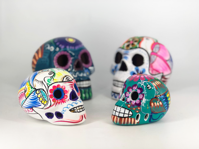 Bonita Skull