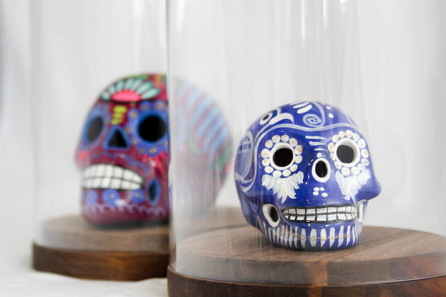 Bonita Skull