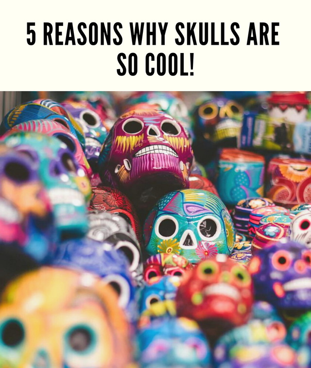 5 reasons why skulls are so cool!