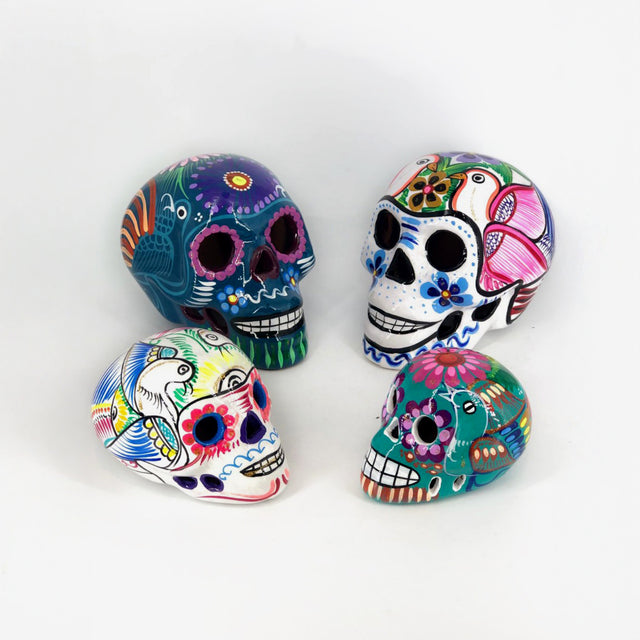 Bonita Skull